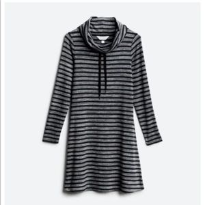 Market Spruce - Granita knit dress